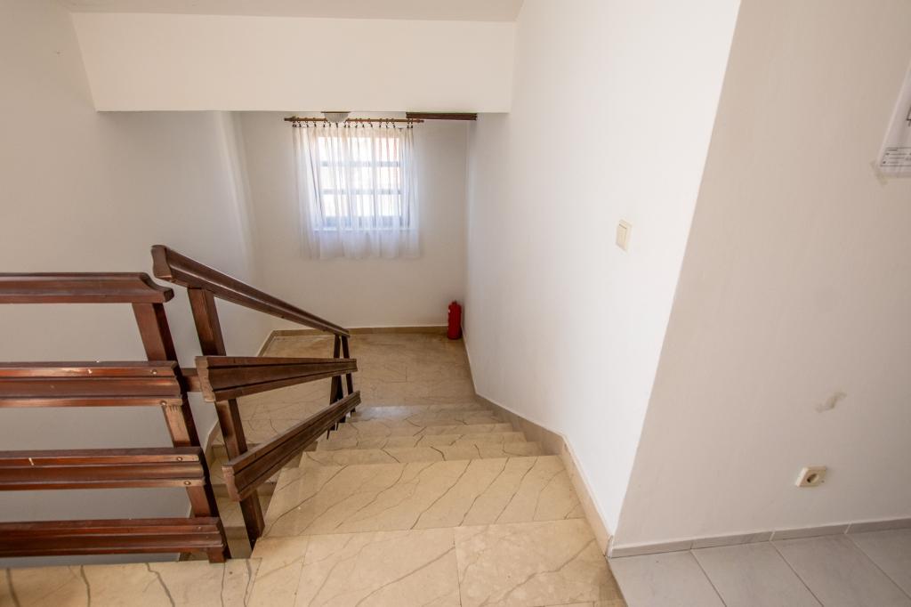 Apartmani Dalmatino – fotografija 5