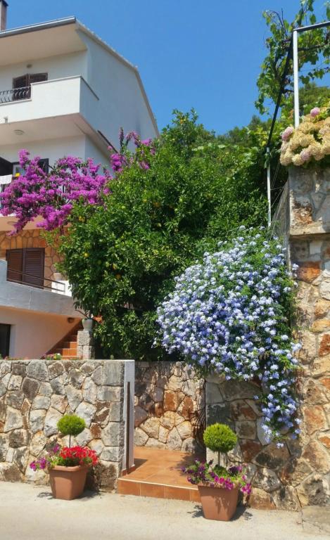Apartmani Bojanic – fotografija 4