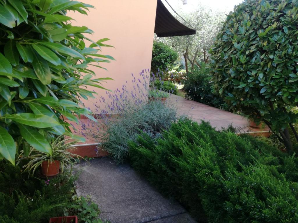 Apartman Olea – fotografija 4