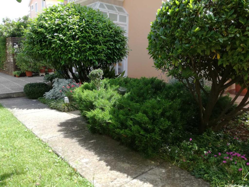Apartman Olea – fotografija 6