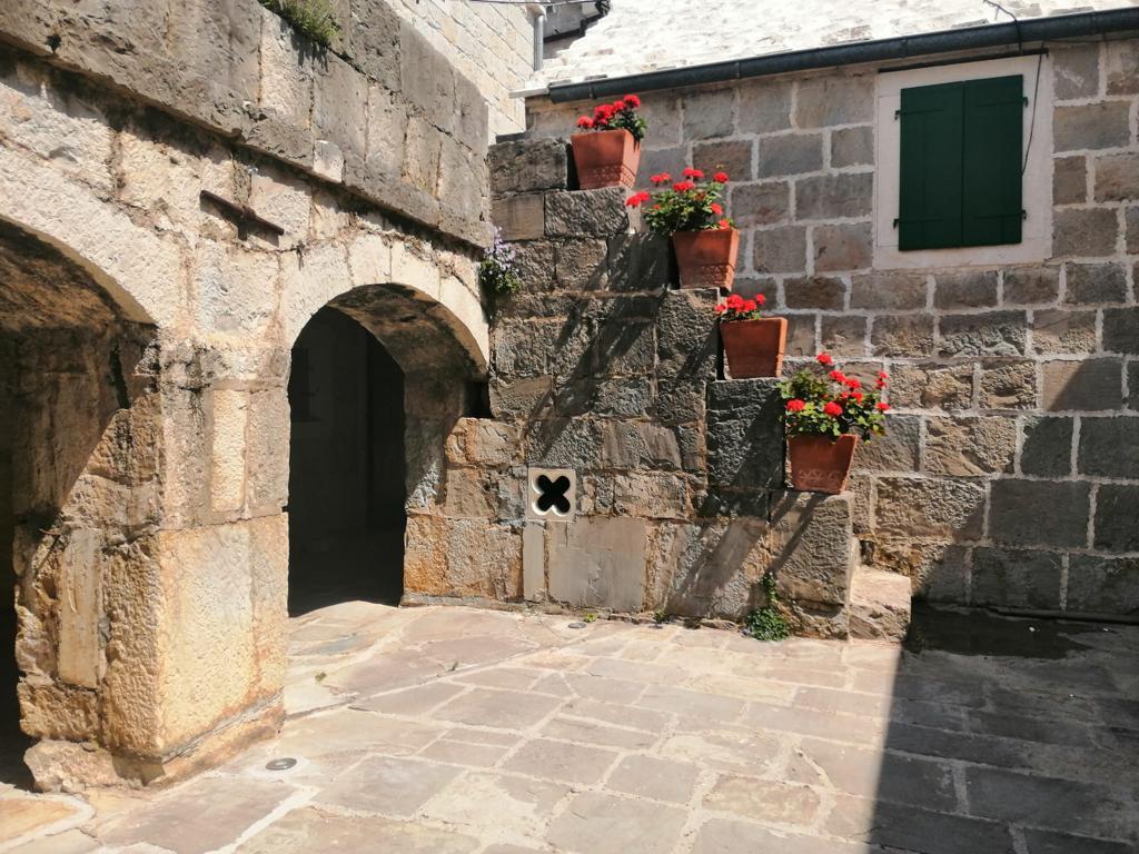 Apartmani Bekavac Kričak – fotografija 3