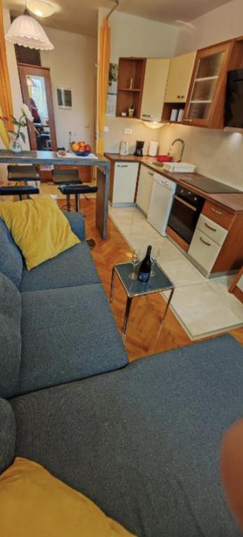 Apartman Nenad – fotografija 5