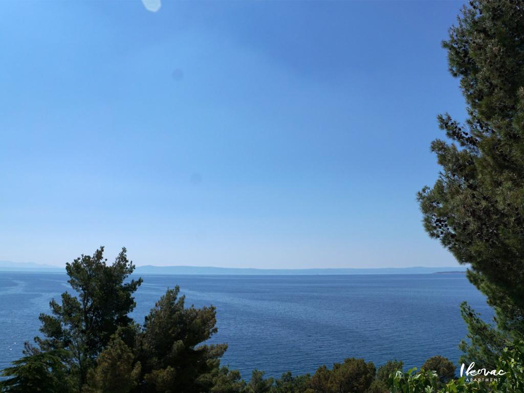 Apartman Ikovac – fotografija 4