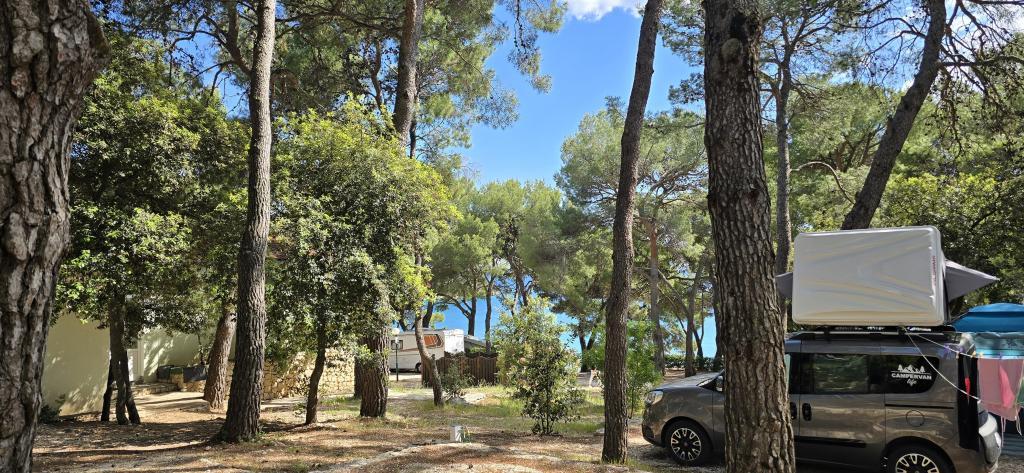 Mobilna kućica Vomer Beachside Unit – fotografija 4