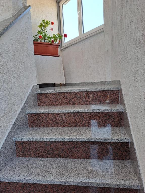 Apartman Luketa – fotografija 3