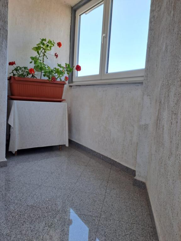 Apartman Luketa – fotografija 4