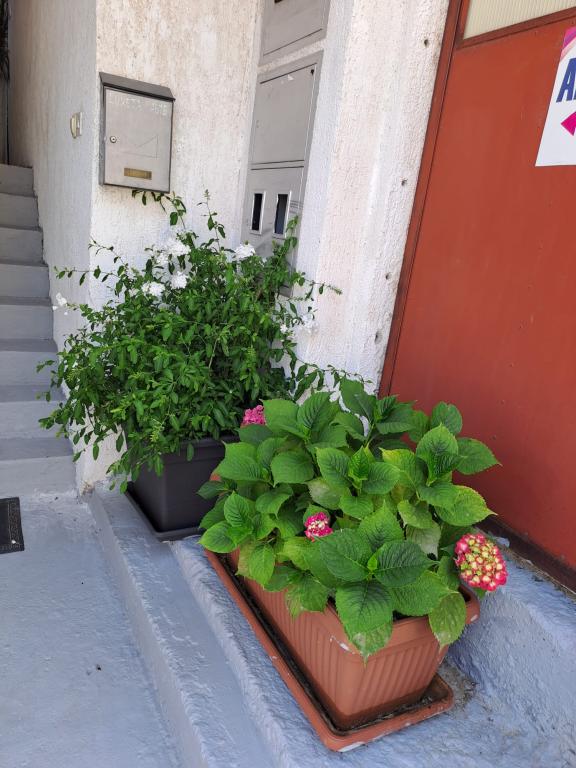Apartman Luketa – fotografija 5