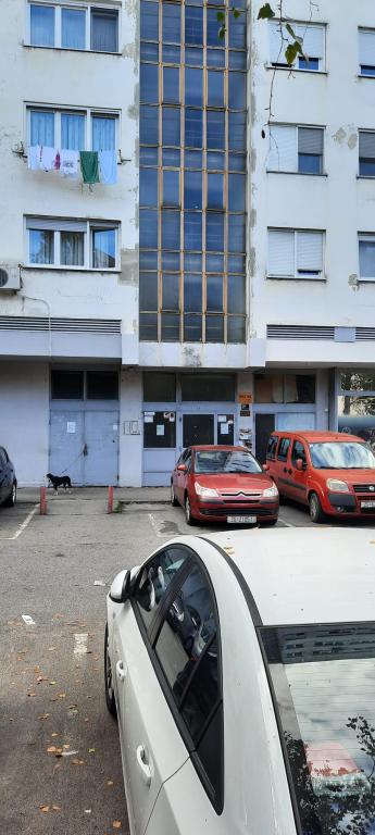 Apartman Rose – fotografija 4