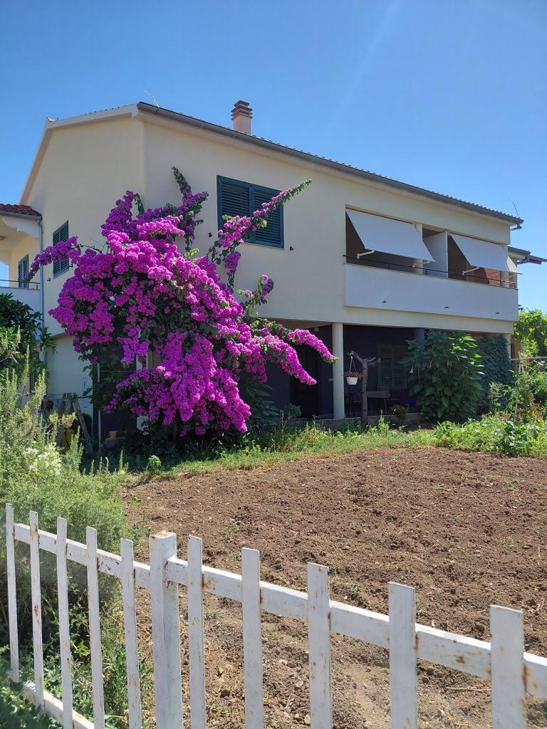 Apartmani Pepe – fotografija 1