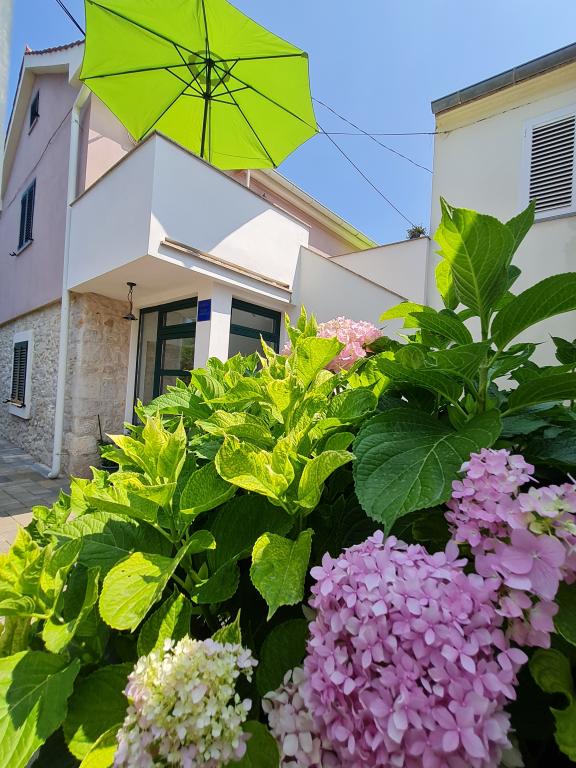 Apartmani Peroš II – fotografija 6