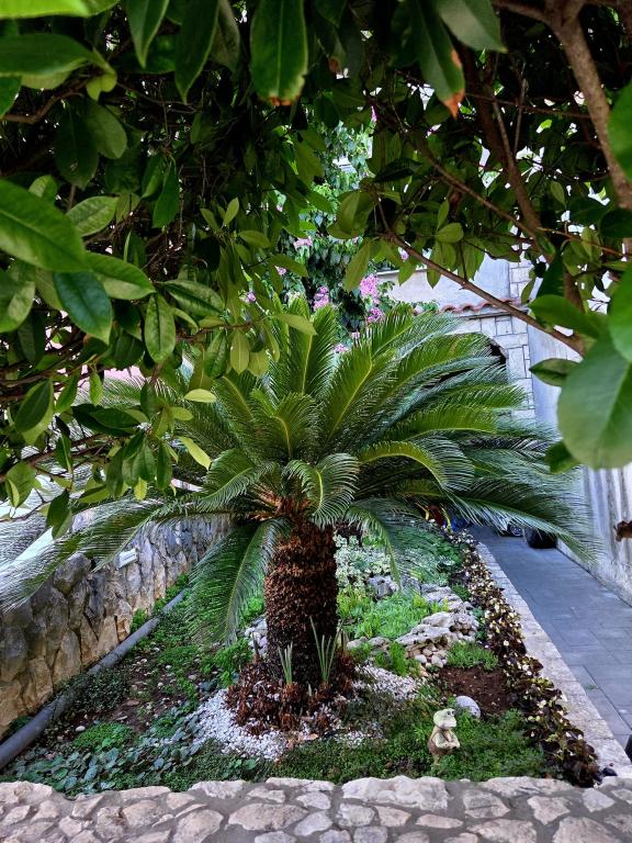 Apartman Lucian – fotografija 3