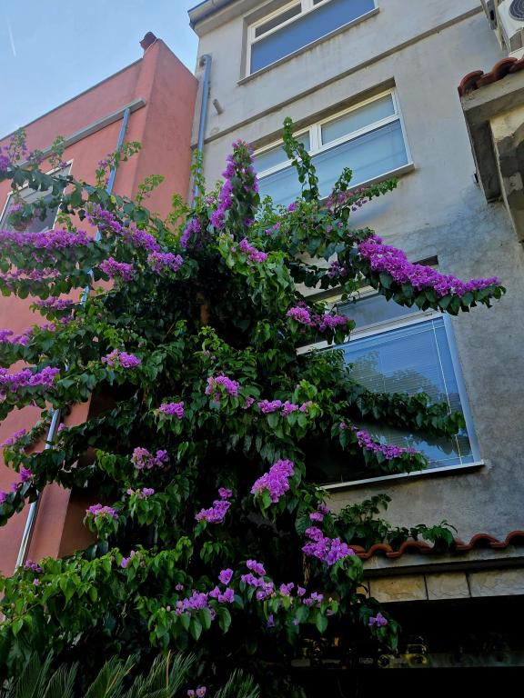 Apartman Lucian – fotografija 4