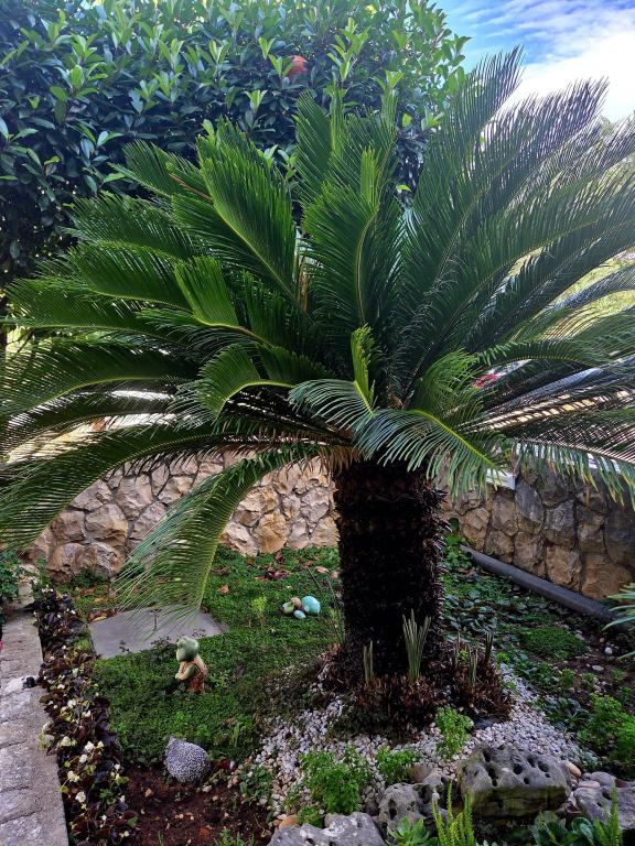 Apartman Lucian – fotografija 5