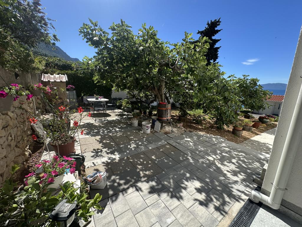Apartmani Elena Branko – fotografija 3