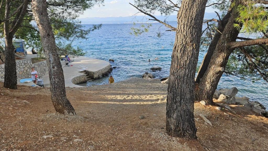 Apartman Venera – fotografija 4
