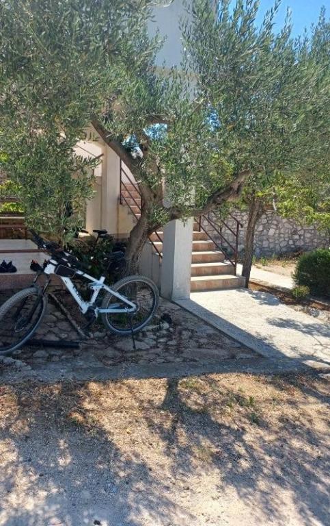 Apartmani Milka – fotografija 6