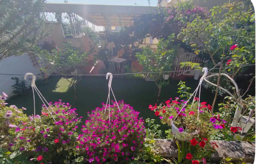 Apartmani Gareta – fotografija 2