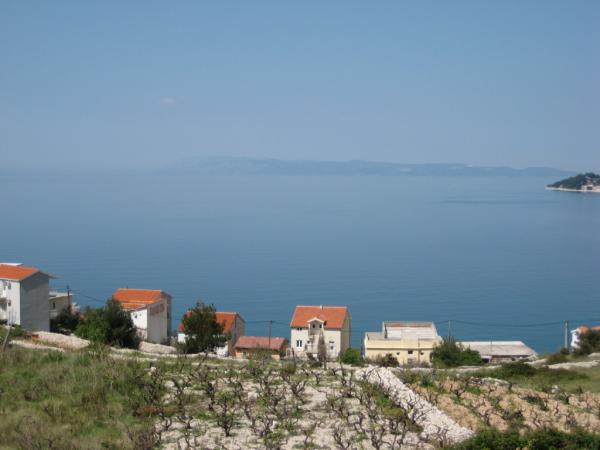 Apartmani Filipović – fotografija 3