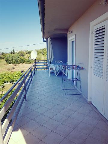 Apartmani Anđelić – fotografija 5