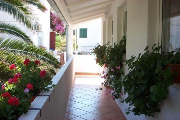 Apartmani Perić – fotografija 5