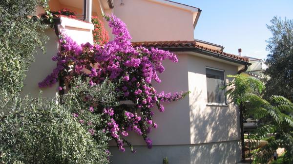 Apartmani Irena – fotografija 4