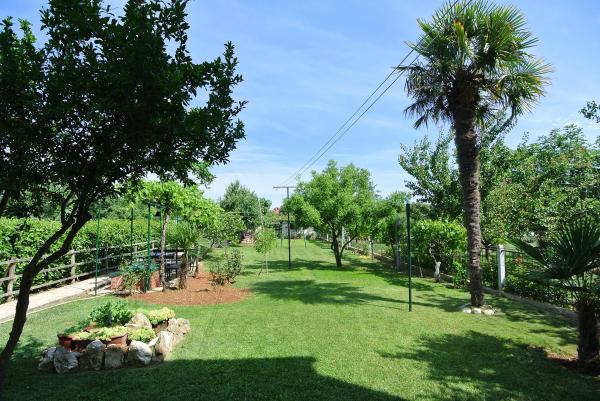 Apartmani Sofia – fotografija 3