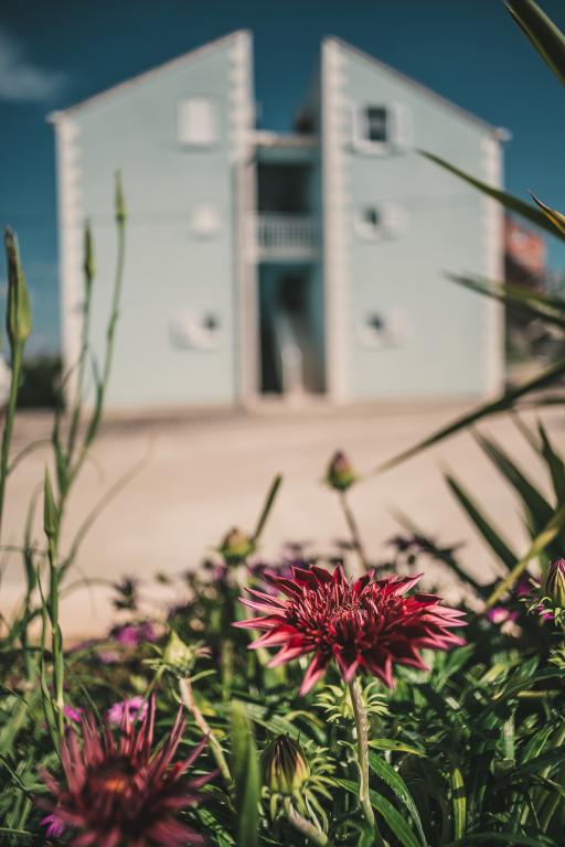 Apartmani Plava Kuća – fotografija 3