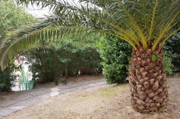 Apartmani Anita Centar – fotografija 3