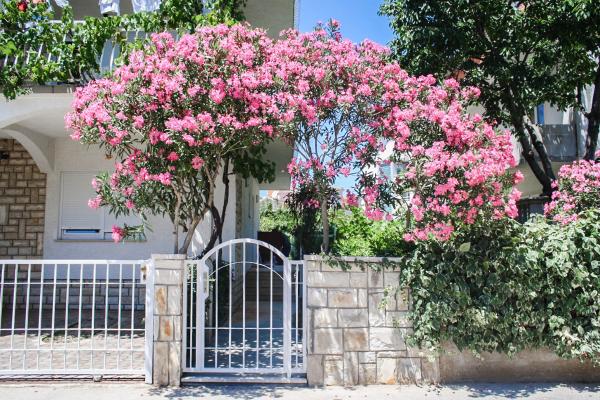Apartmani Milka – fotografija 4