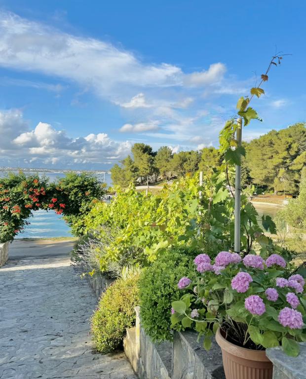 Apartmani Otrić – fotografija 3
