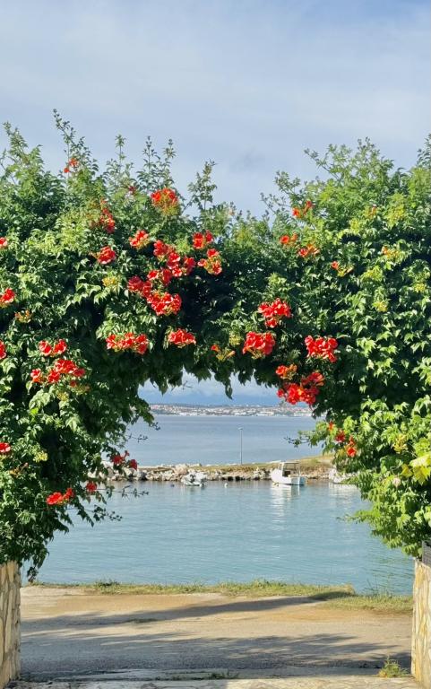 Apartmani Otrić – fotografija 4