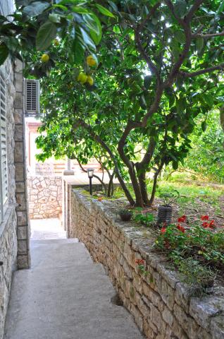 Apartmani Pansion Matana – fotografija 6