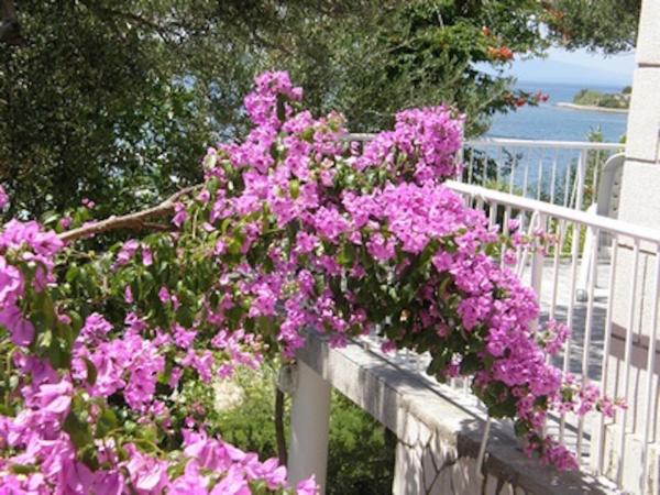 Apartmani Španjol – fotografija 4