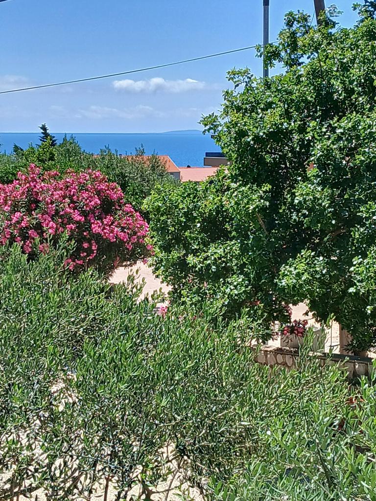 Apartmani Dabo – fotografija 5
