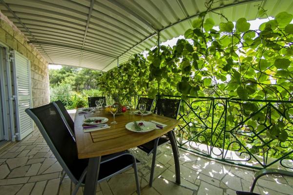 Vila Nikola – fotografija 3