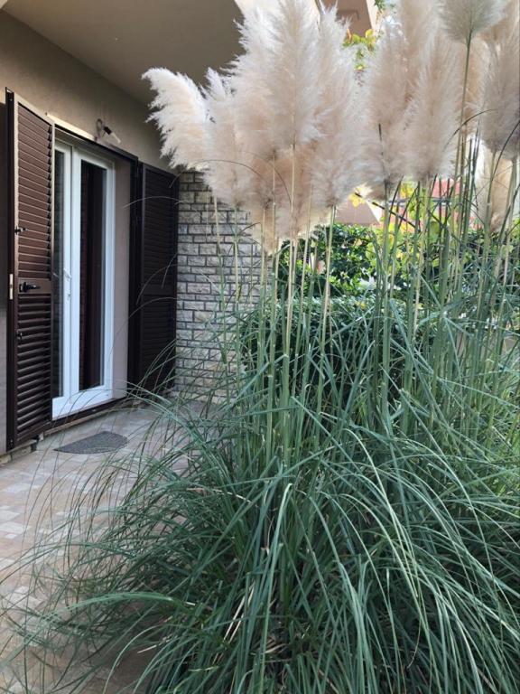Apartmani Bralic – fotografija 2