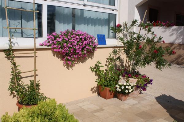 Apartmani Iris – fotografija 6
