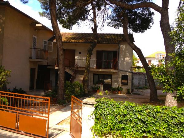 Apartmani Vesna – fotografija 3