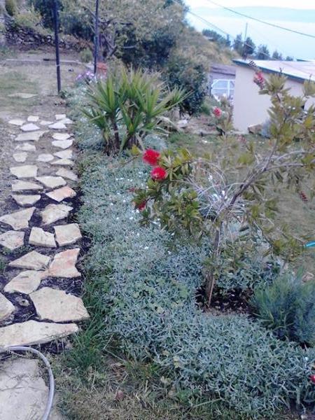 Apartmani Suco – fotografija 5