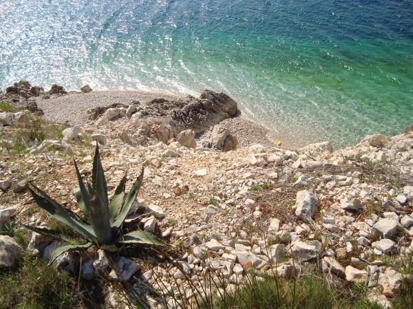 Apartmani Lana – fotografija 6