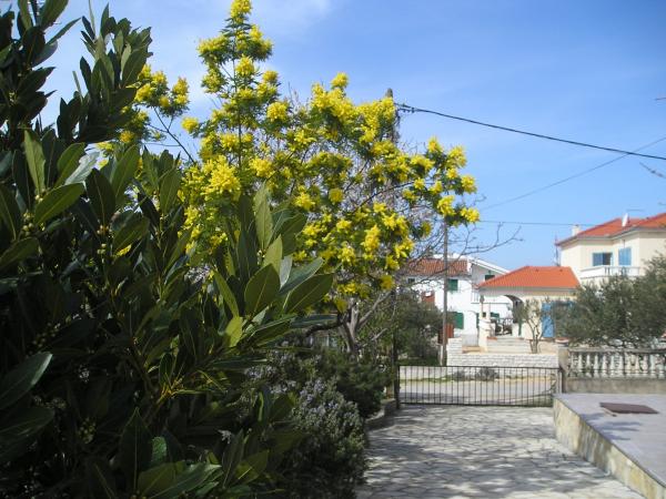 Apartman Mario – fotografija 6