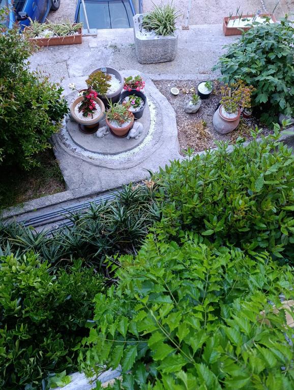 Apartmani Hirsch – fotografija 2