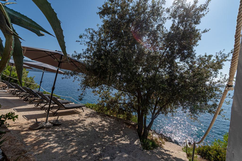 Apartmani Todor – fotografija 4