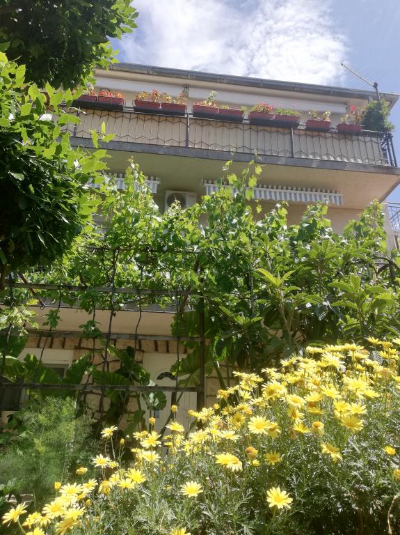 Apartman Bokula – fotografija 6