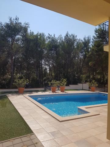 Apartmani Vila Jurak – fotografija 5