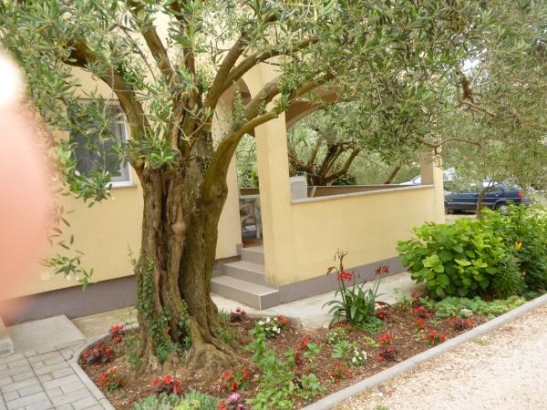 Apartmani Senija – fotografija 4