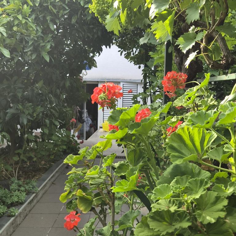 Apartmani Vila Darian – fotografija 3