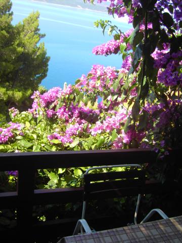 Apartmani Lizatović – fotografija 4
