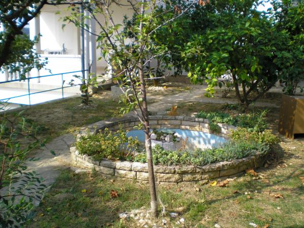 Apartmani Marica – fotografija 6