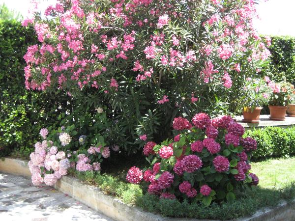 Apartmani Sandra – fotografija 2